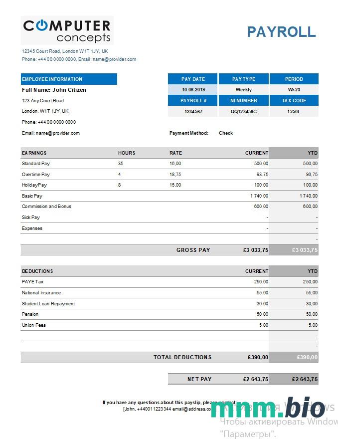 Computer corporation payroll template in Excel and PDF formats